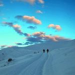 میشو داغ و مورو داغ