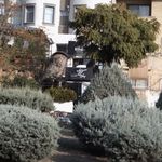 کافه بینج