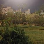 بوستان گل نرگس