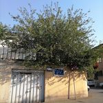 بنیاد علمی و فرهنگی بوعلی سینا