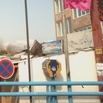ماهی فروشی صدف