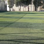 باشگاه یوگا سوریا
