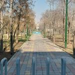 بوستان گل نرگس