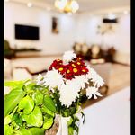 خدمات نظافت درنیکا ایرانیان