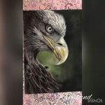 استاد و مربی نقاشی کودکان‌و بزرگسالان