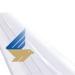 شرکت هواپیمایی زاگرس