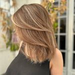 رنگ و کوتاهی تخصصی فروغ