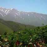 منطقه حفاظت گردیده سرولات و جواهر دشت