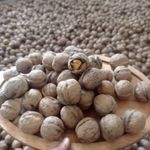 تیام مارکت فروشگاه گردوعسل وخشکبار