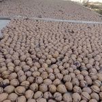 تیام مارکت فروشگاه گردوعسل وخشکبار