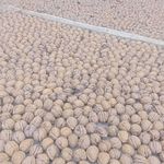 تیام مارکت فروشگاه گردوعسل وخشکبار