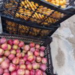 تیام مارکت فروشگاه گردوعسل وخشکبار