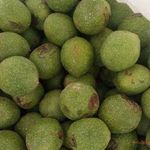 تیام مارکت فروشگاه گردوعسل وخشکبار