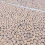 تیام مارکت فروشگاه گردوعسل وخشکبار