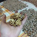 تیام مارکت فروشگاه گردوعسل وخشکبار