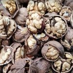 تیام مارکت فروشگاه گردوعسل وخشکبار