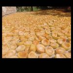 تیام مارکت فروشگاه گردوعسل وخشکبار