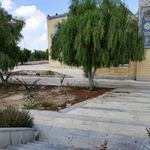مسجد