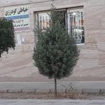 خیاطی گودرزی