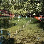 گردشگاه بابا امان