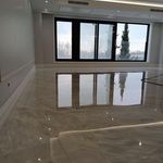 علیرضا سلیمانی