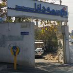 بیمه دانا