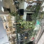 ارایشگاه مردانه سایه