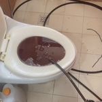 لوله بازکنی مولایی