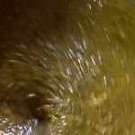 کافه رستوران سنتی حلیمه خاتون