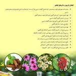 آموزشگاه و مرکز شتابدهی زیست اقتصاد خیام