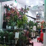 گل فروشی نسترن