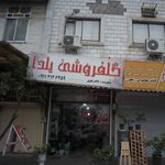 گل و گیاه پونا