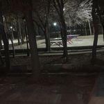 بوستان سعدی