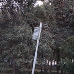 پارکینگ خودرویی مراجعین کلانتری