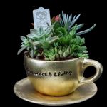 گل فروشی نسترن