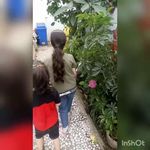 مهد کودک ترگل