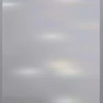 دپارتمان بزرگ دیار پرند