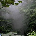 پارک جنگلی نمک آبرود