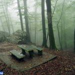 پارک جنگلی نمک آبرود