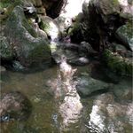 چشمه فکجور دمکش