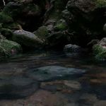 چشمه فکجور دمکش