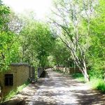 روستا ﮔﺮدﺷﮕﺮی ﻓﯿﺮوزه