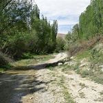 روستا ﮔﺮدﺷﮕﺮی ﻓﯿﺮوزه