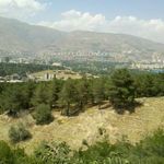 بوستان جنگلی شیان