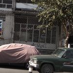 لواشی گل گندم