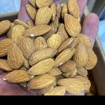 خشکبار سلامت سعادتیان