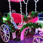 تشریفات کالسکه شادی .اجاره کالسکه و اسب