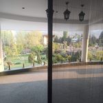 توری پلیسه تورلند