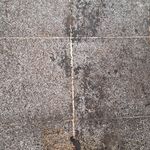 شرکت خدمات نظافت منزل و راه پله پاک سیما