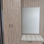 کابینت عباس آبادی